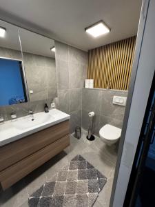 a bathroom with a sink and a toilet and a mirror at Puffin rock in Vestmannaeyjar