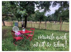 two red chairs and a red table in the grass at Bauwagen im Apfelgarten in Winsen