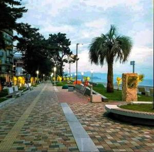 a cobblestone street with a palm tree and the ocean at Дом in Kobuleti