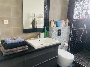 a bathroom with a sink and a toilet and a mirror at Les Marais 2 in Le Pré-Saint-Gervais