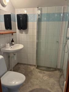a bathroom with a shower and a toilet and a sink at Strandvillan in Älandsbro +16 photos