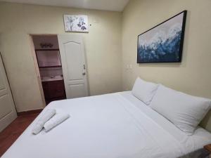 a bedroom with a large white bed with white pillows at Hotel Casona Macondo, Granada, Nicaragua in Granada