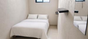 a small room with two beds and a mirror at Casa Oasis Aguascalientes in Cañada del Rodeo