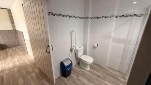a bathroom with a toilet in a stall at Pension GAZTELUGATXE in Bermeo