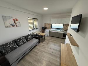 a living room with a couch and a kitchen at Silver Residence Caracal in Caracal