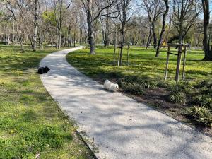 two cats laying on a path in a park at Eötvös Hotel in Ajka