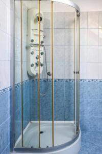 a shower stall in a bathroom with a shower at Wellez Vendégház in Sajóvelezd +10 photos