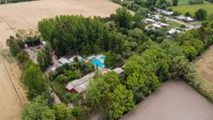 Luftaufnahme eines Hauses in den Bäumen in der Unterkunft Camping Las Torcacitas in Yerbas Buenas