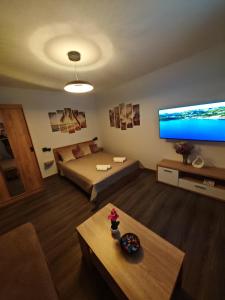 a living room with a bed and a large flat screen tv at Apartman Studio Nicky in Mlini