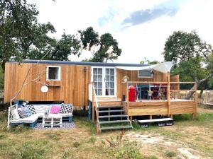 a tiny house sitting in a yard with a porch at Bauwagen im Apfelgarten in Winsen