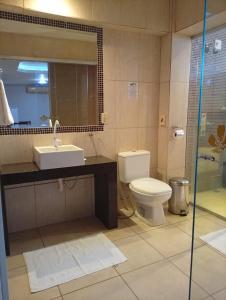 ein Badezimmer mit Toilette, Waschbecken und Dusche in der Unterkunft Serrano Park Hotel in Parauapebas + 37 Fotos