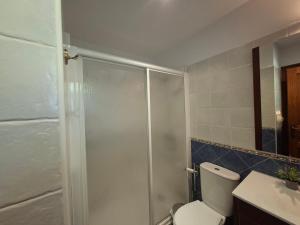 a bathroom with a shower with a toilet and a sink at Casa Nardo in Benia de Onís