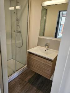 a bathroom with a sink and a shower at Studio in Bonny-sur-Loire