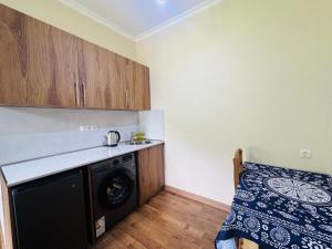 a kitchen with a washing machine in a room at Due apartments in Borjomi