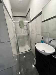 a bathroom with a shower and a sink and a sink at Cosy flat in central Cardiff Bay in Cardiff