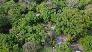 an overhead view of a forest of trees at El Bosque Hotel in Copán Ruinas