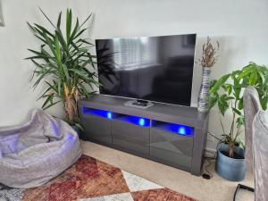 a living room with a television with blue lights at Cozy Flat in Steyning