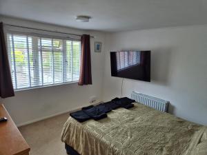 a bedroom with a bed and a flat screen tv at Cozy Flat in Steyning