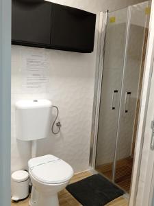 a bathroom with a toilet and a shower at Zen aeroport in Sînnicoară +43 photos