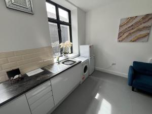 a kitchen with a sink and a washing machine at Cosy flat in central Cardiff Bay in Cardiff