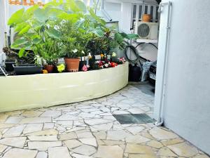 a garden with plants and flowers on a patio at Logement meublé proche CHUM, idéal stagiaires et professionnels in Le Lamentin