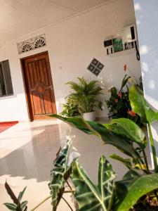 a room with potted plants and a wooden door at පසන් නිවස Pasan Niwasa Homestay Bandarawela in Bandarawela