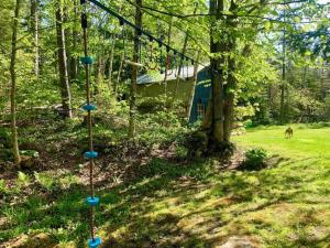 a yard with two bird feeders in the woods at Ahmeek-5 in Dover