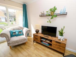 a living room with a tv and a chair at Camellia Cottage in Wimborne Minster
