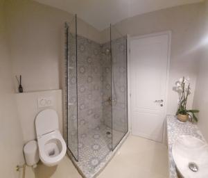 a bathroom with a shower with a toilet and a sink at To Nisaki in Loutraki +9 photos