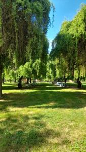 a park with trees and benches in the grass at Camping Las Torcacitas in Yerbas Buenas