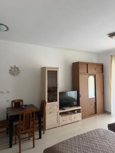 a living room with a dining table and a television at Studio apartman Budex in Đenovići