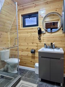 a bathroom with a toilet and a sink and a mirror at Tengri House A-Frame Issyk-Kul in Kaji-Say