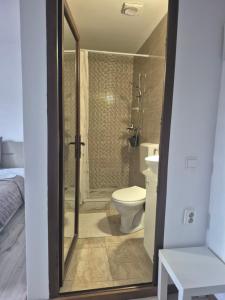 a bathroom with a shower and a toilet and a sink at Casa Anima Călimănești Căciulata in Călimăneşti +50 photos