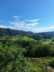 a view of a valley with trees and a road at App TI-SA in Laze v Tuhinju