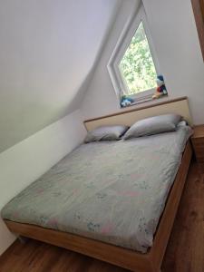 a bed in a room with a window at App TI-SA in Laze v Tuhinju