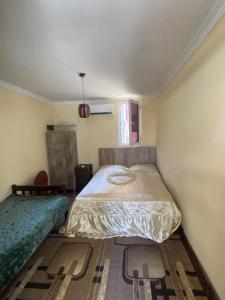 a bedroom with two beds in a room at KARTSIVADZe in Ureki