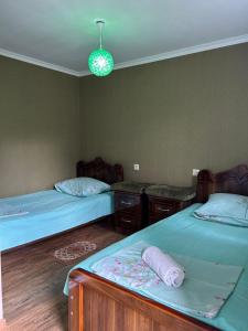 a bedroom with two beds and a light fixture at LeriMari in Mestia