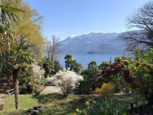 a view of a lake with mountains in the background at Rustico Marietta by HolAp SA in Brissago