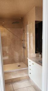 a bathroom with a shower and a sink at Le murmure des pins in Villemoustaussou