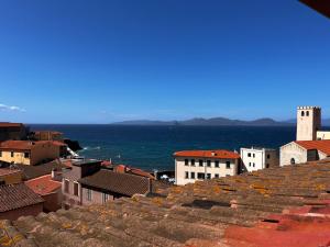 a view of the roofs of buildings and the ocean at Mansarda sopra i canali in Piombino