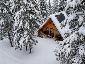 a cabin in the woods with snow covered trees at My Dream - Blidinje in Blidinje
