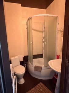 a bathroom with a shower and a toilet and a sink at Мрія in Odesa