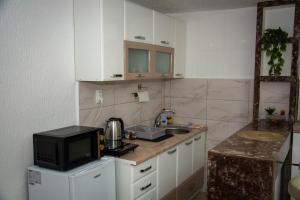 a small kitchen with a sink and a microwave at Zeleni dom in Brestovac