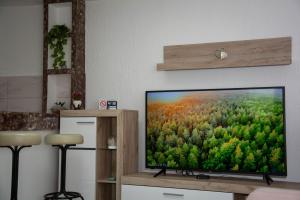a flat screen tv sitting on a stand in a living room at Zeleni dom in Brestovac