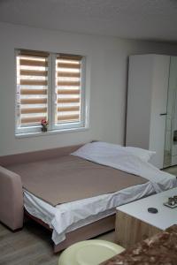 a bedroom with a large bed and two windows at Zeleni dom in Brestovac +18 photos