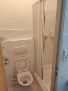 a small bathroom with a toilet and a shower at Penzion-BelBar Zlín in Zlín +30 photos