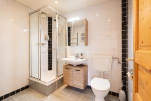 a bathroom with a toilet and a shower and a sink at Stoderglück by Alpenidyll Apartments in Gröbming