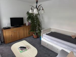 a bedroom with a bed and a tv and a table at Ferienwohnung im Grünen in Gößweinstein