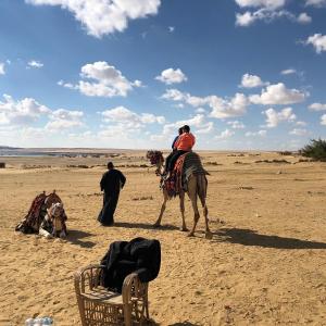 a man riding a camel in the desert at Safarova Tours in Fayoum