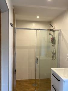 a shower with a glass door in a bathroom at Agroturystka Nowotny in Zawada Książęca